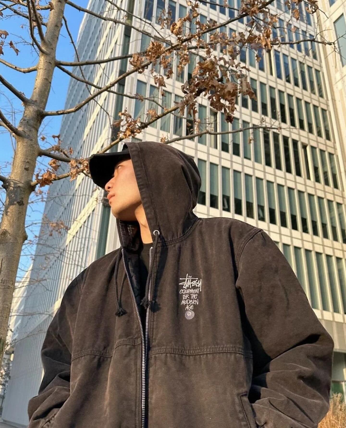 Stüssy 'Modern Age' Canvas Work Jacket