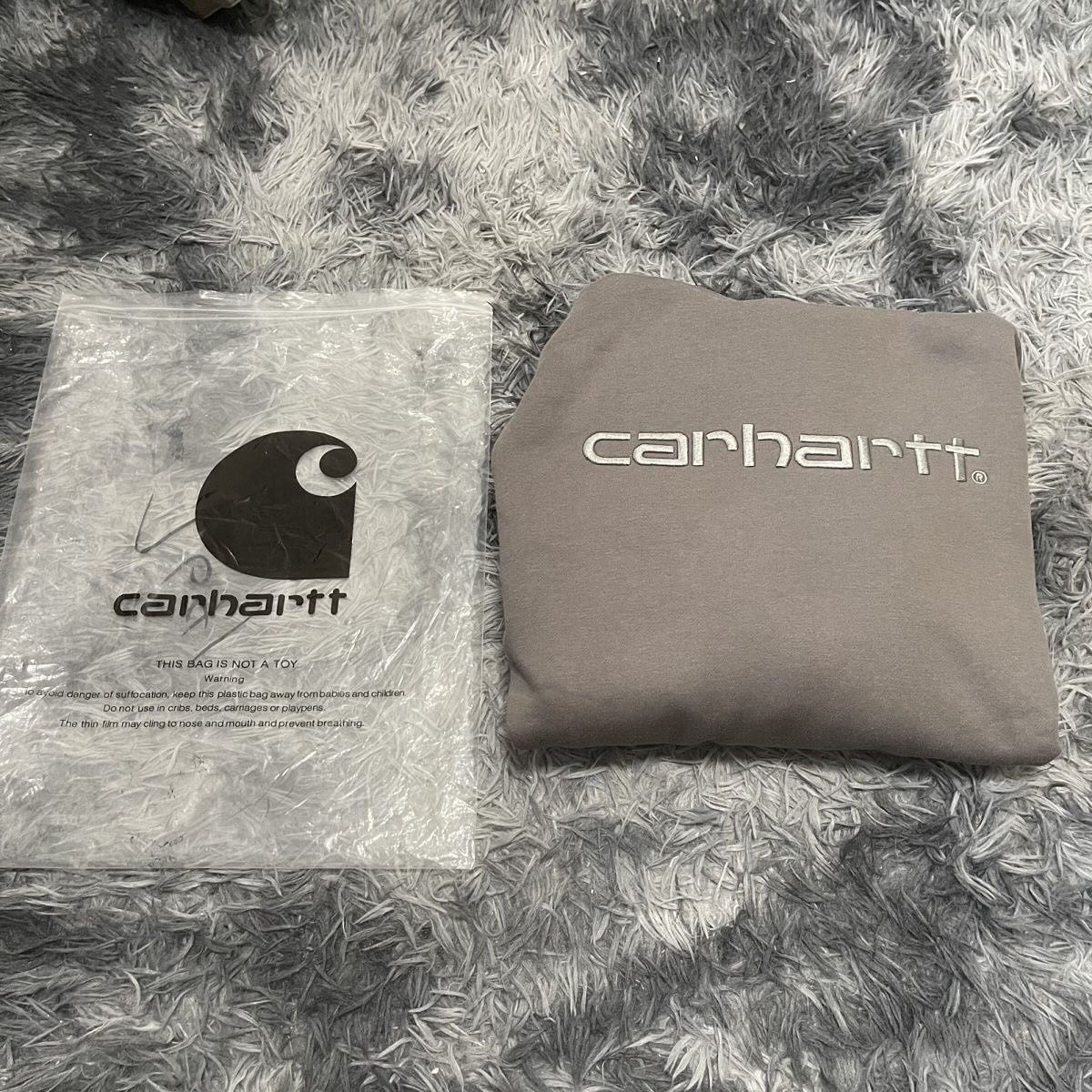 Carhartt WIP 'Script' Embroidery Hoodie